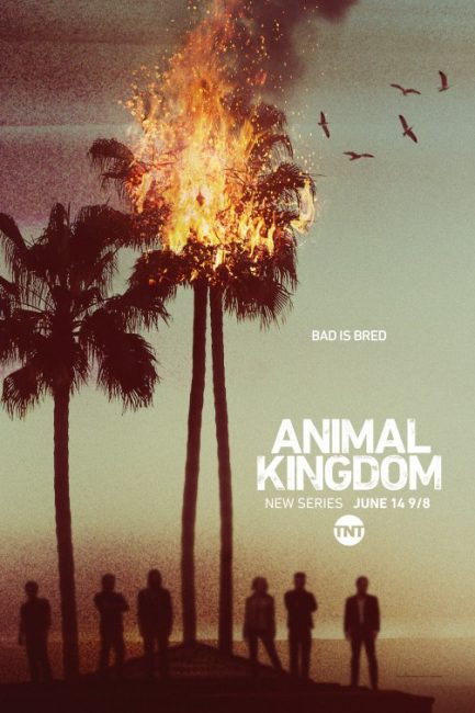 مسلسل Animal Kingdom الموسم الاول الحلقة 3 مترجمة