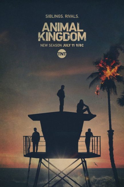 مسلسل Animal Kingdom الموسم الخامس الحلقة 11 مترجمة