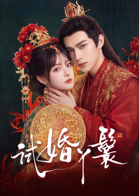 مسلسل خادمة المحاكمة The Trial Handmaiden الحلقة 15 والاخيرة مترجمة